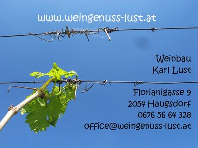 Weinbau Karl Lust
