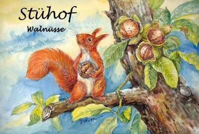 STÜHOF Walnüsse