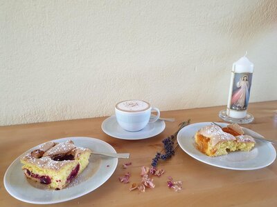 Flaumiger Wallfahrer-Früchte-Kuchen (Marillen/Zwetschken-Kuchen)