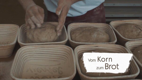 Vom Korn zum Brot_LEADER Region Weinviertel Ost © 