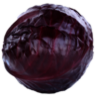 Rotkraut