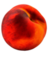  © 