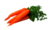  © 