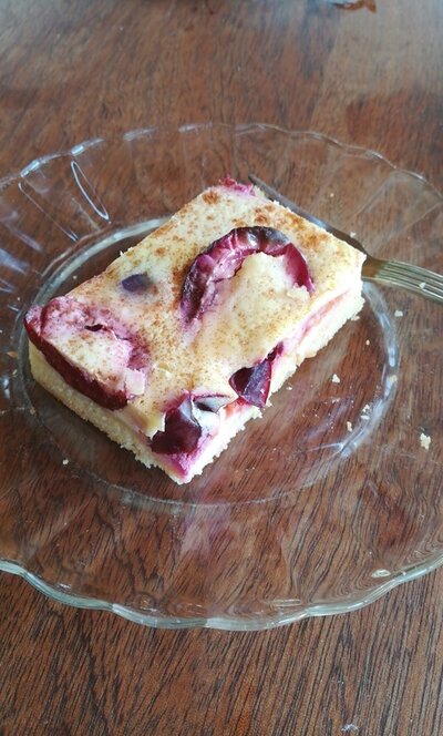Mürbteig-Topfen-Zwetschken Kuchen