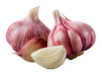 Knoblauch