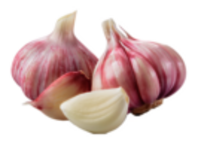 Knoblauch