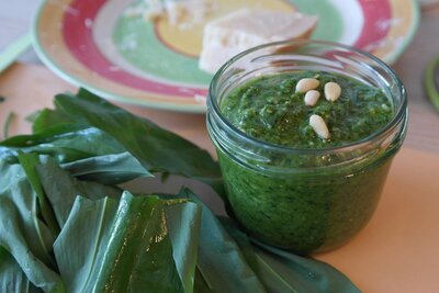 Bärlauchpesto