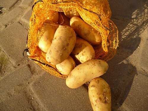 Kartoffelsack_Graf-Greis