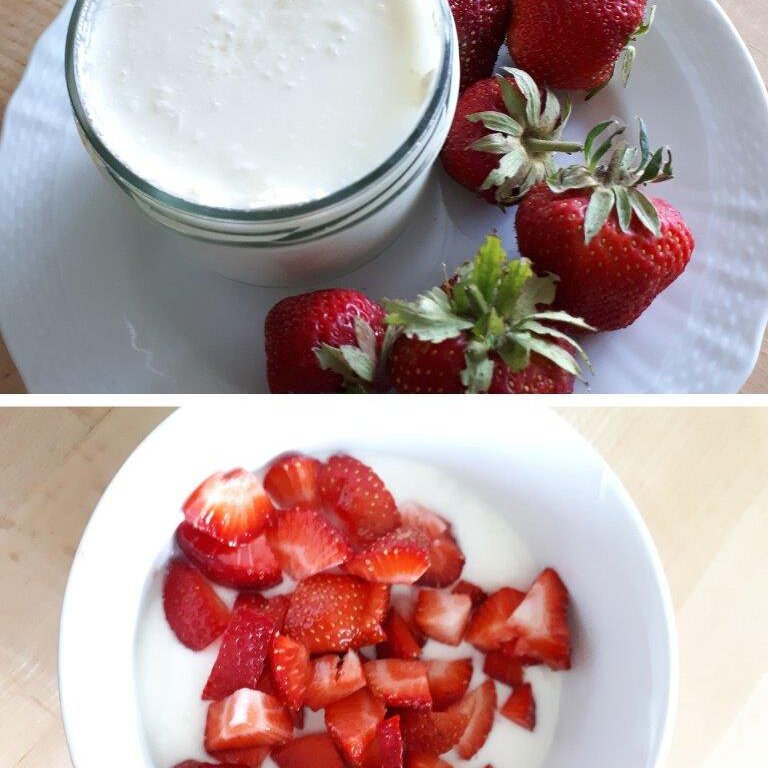 Joghurt mit Erdbeeren_LEADER Region Weinviertel Ost