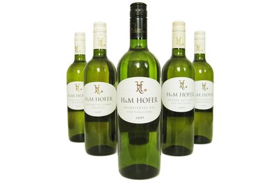 Bio-Rotwein diverse Sorten