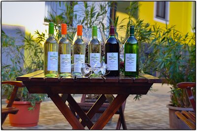 Wein