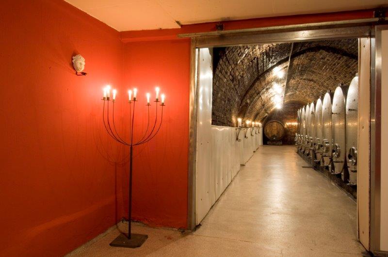 Petr Blaha